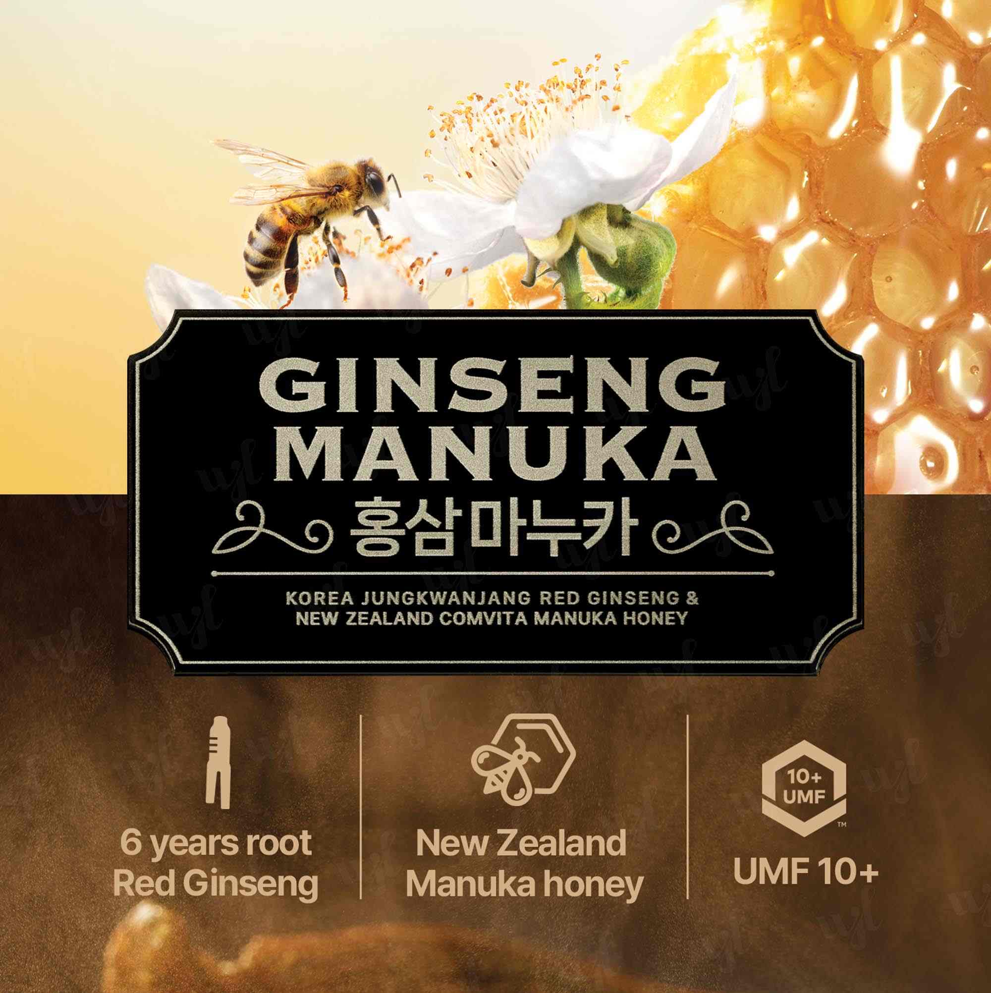 Korean Red Ginseng Manuka 高丽参麦卢卡口服液