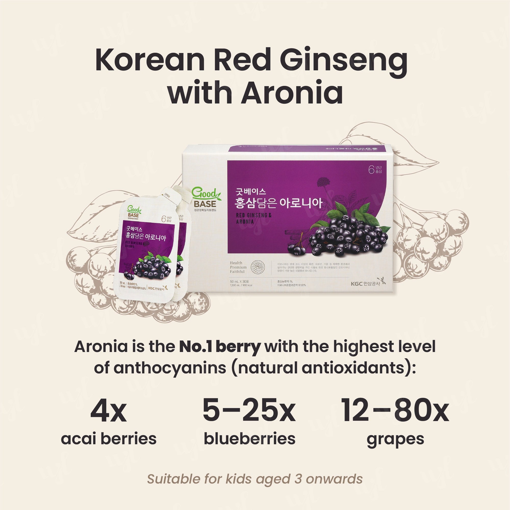 Aronia with Korean Red Ginseng Pouch 高丽参野樱莓袋装